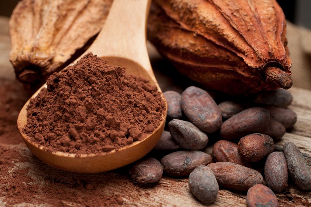 Can You Brew Cacao in a Coffee Maker